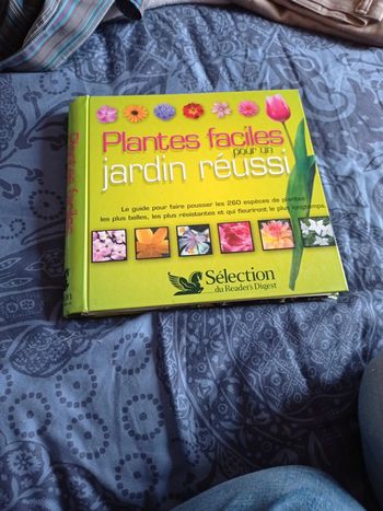 Plantes faciles pour un jardin reussi