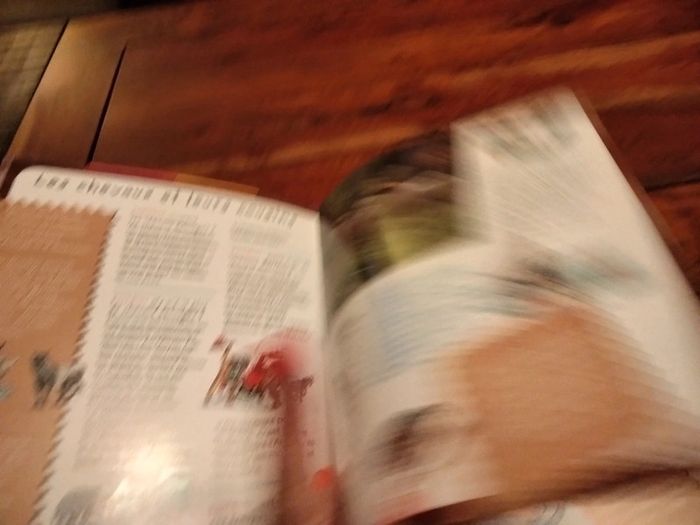 Livre intitulé pourquoi comment les chevaux Fleurus - photo numéro 3