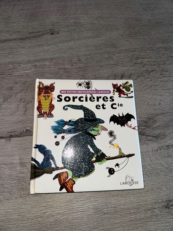 Livre mes petites encyclopédies Larousse sorcières et cie