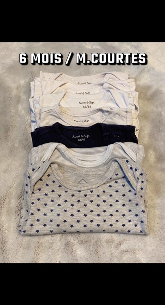 Lot de 7 bodies manches courtes 6 mois