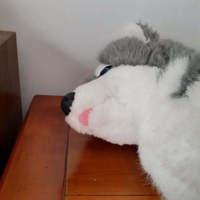 Peluche Husky *31 cm - photo numéro 6