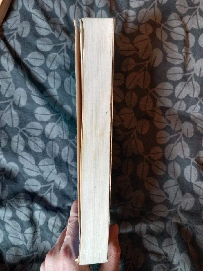 Libido feminie - photo numéro 6