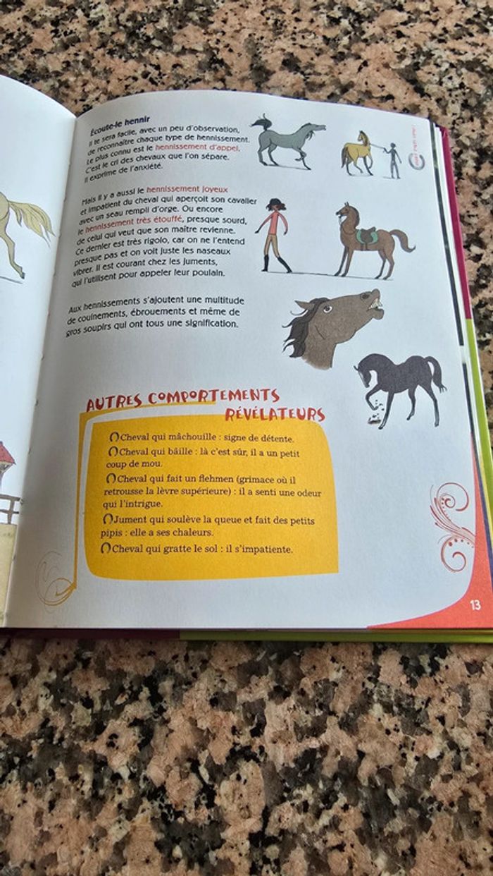 Duo au galop - photo numéro 2