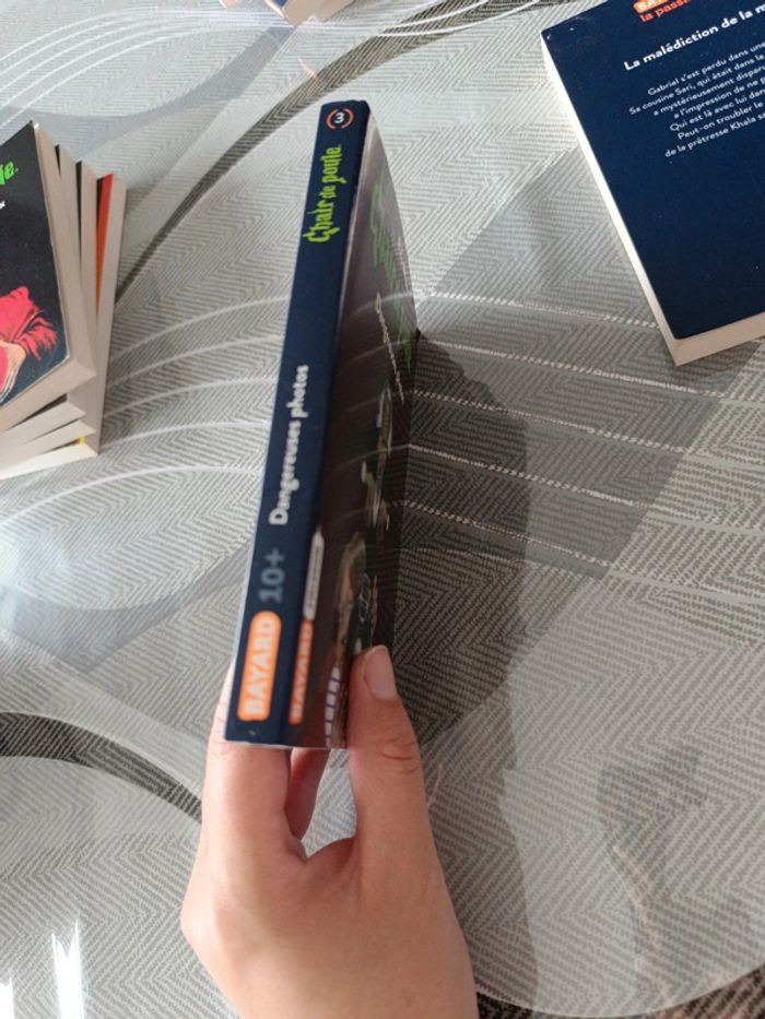 Livre chair de poule - photo numéro 4