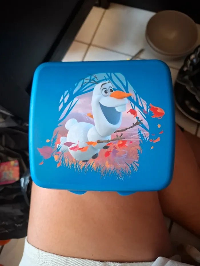 Boite a sandwich olaf