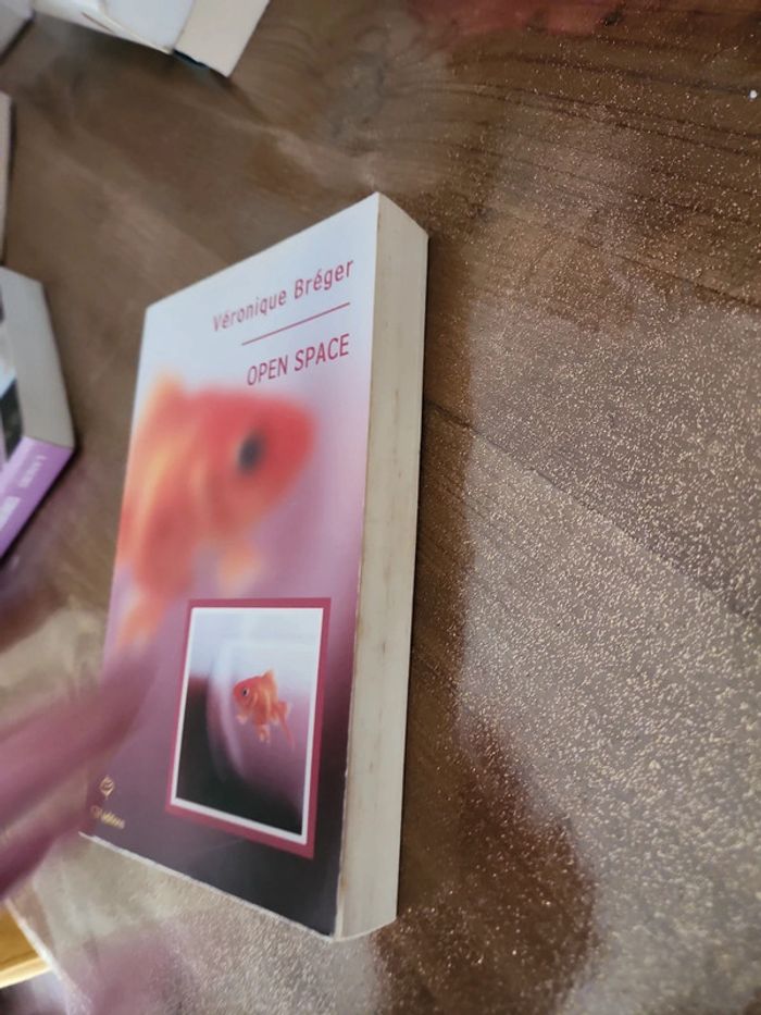 Livre Open space - photo numéro 4