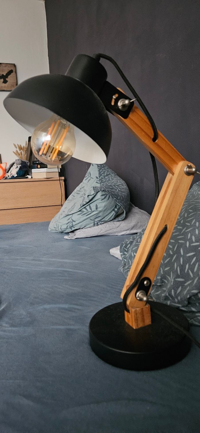 Lampe industrielle - photo numéro 2