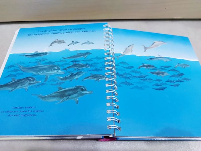 📚 Livre mes premières découvertes : Le dauphin - photo numéro 2