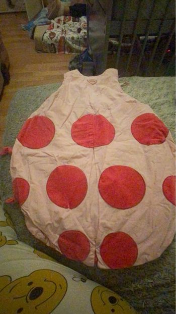 Gigoteuse  coccinelle 