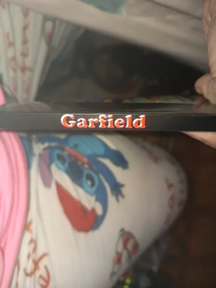 Garfield 21 - photo numéro 3