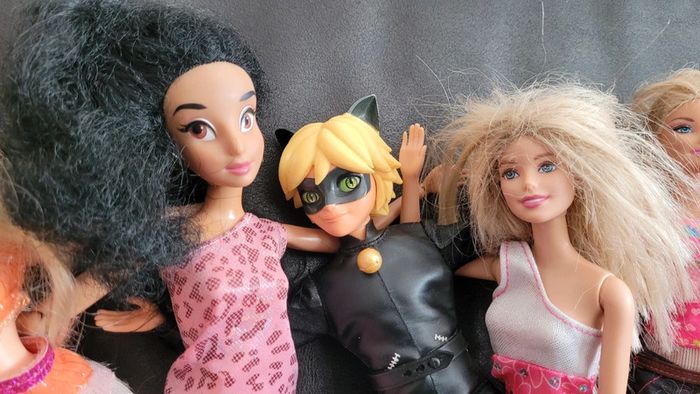 Lot poupée jouet fille Barbie Disney Miraculous Winx Club - photo numéro 2