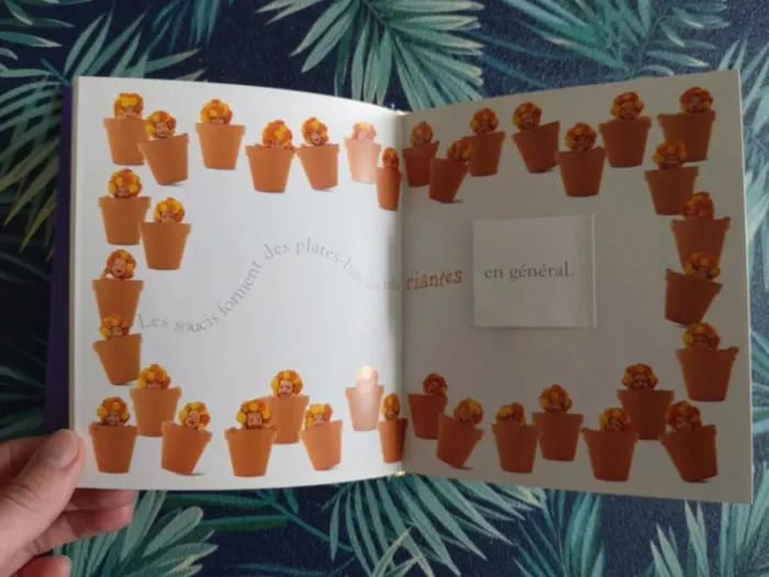 Livre le jardin des fées, Anne Geddes - photo numéro 5