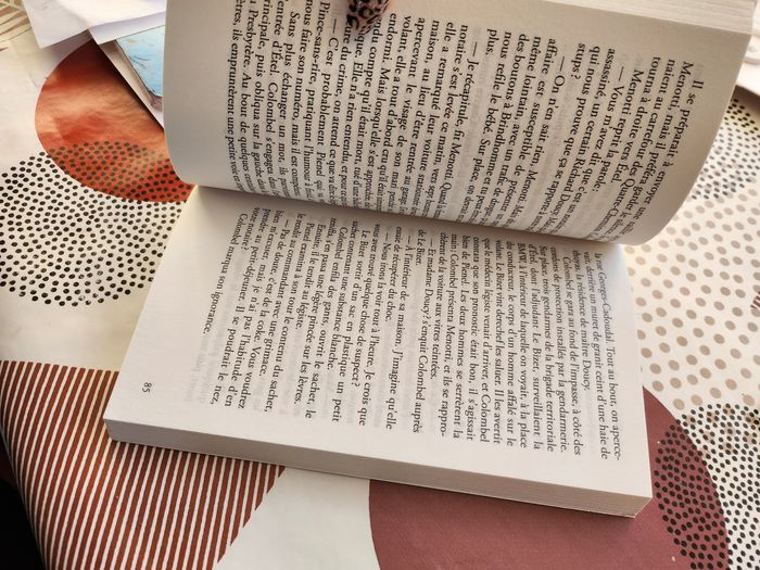 Livre policier - photo numéro 4