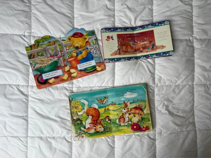 Lot 3 livres enfant cartonnés - photo numéro 4