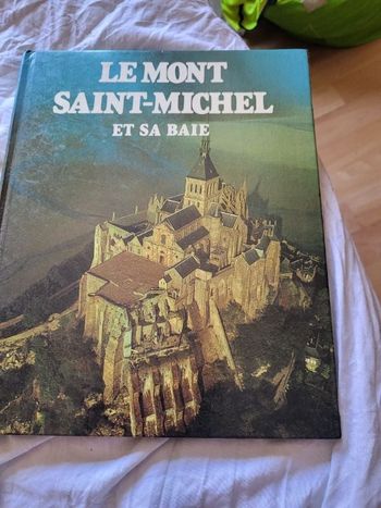 Le Mont Saint Michel et sa baie