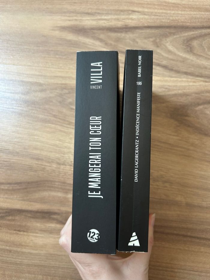 Lot de 2 livres Thriller / Roman Noir - photo numéro 4