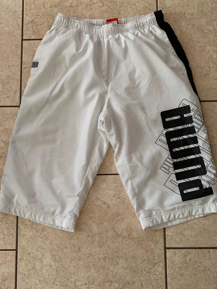 Bermuda puma 38