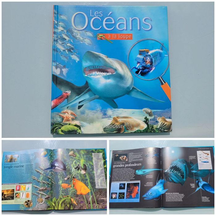 Livre Les Océans 🌊 à la loupe, éditions Larousse