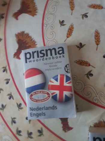 Dictionnaire hollandais anglais