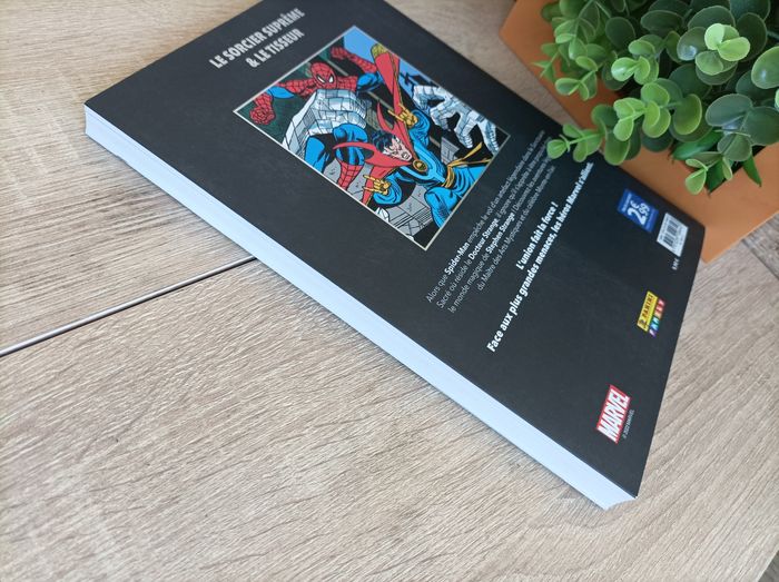 Album comics Marvel Spider-Man et Doctor Strange Les grandes alliances - photo numéro 5