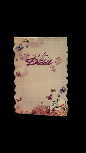 Bloc note Diddl puzzles rose