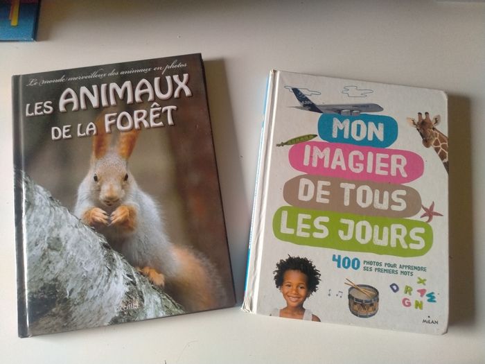 Livres enfants - photo numéro 2