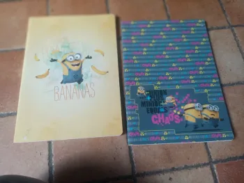 Lot deux cahiers clairefontaine minions
