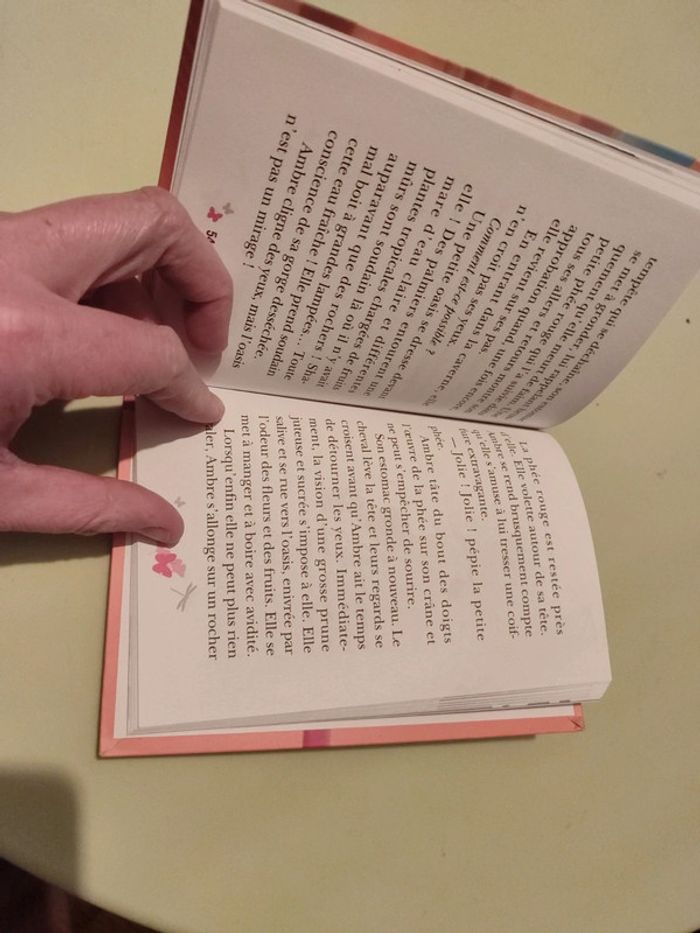 Livre Bella Sara - photo numéro 3