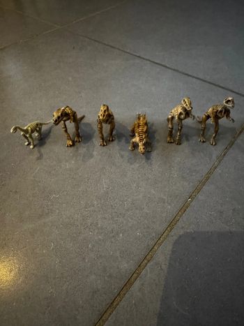 Lot de 6 squelettes de dinosaures: 1 Pachycephalosaure /
