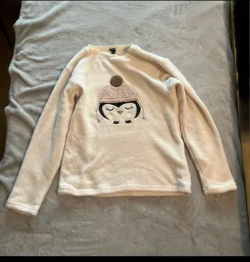 Pull polaire