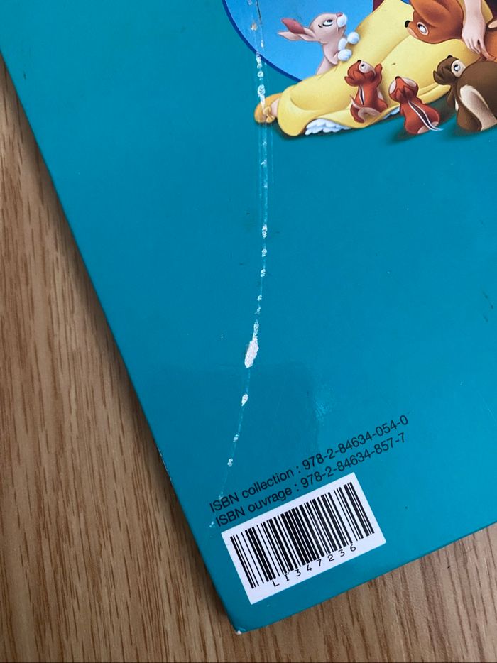Lot de livres Disney - photo numéro 5