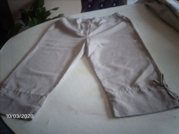 tailleur beige  et pantacourt a nouette