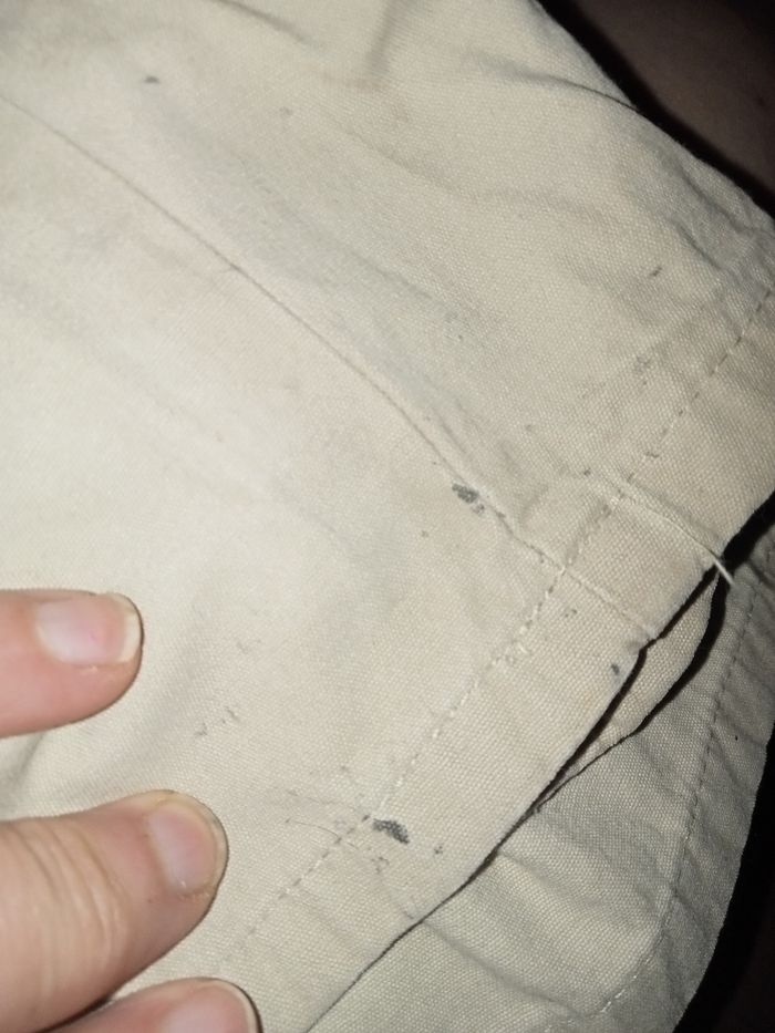 Pantalon (-4) - photo numéro 5