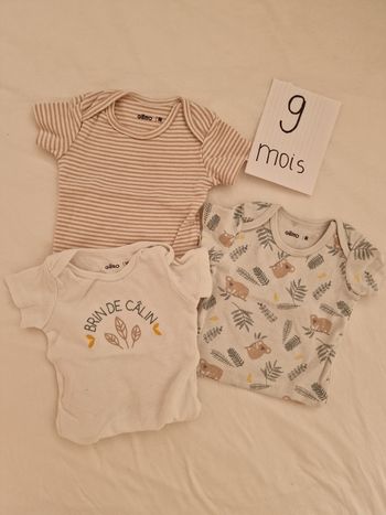 Bodies manches courtes.