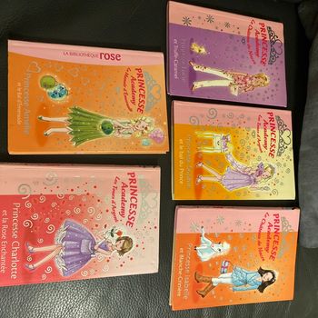 5 livres princesse academy