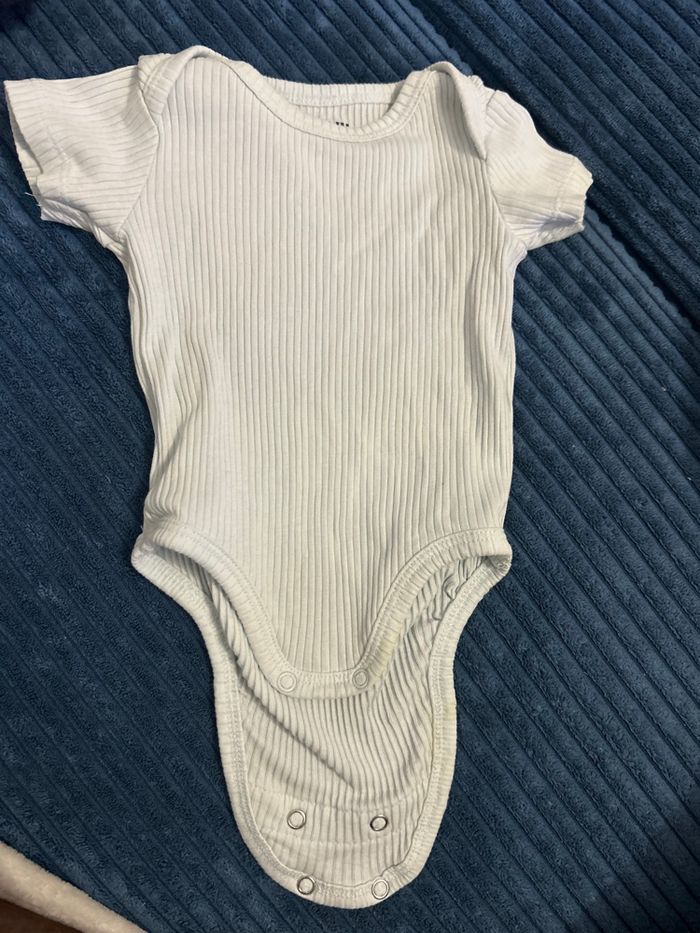 Body sans manche & 2 avec Manche - photo numéro 3