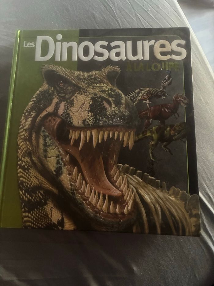 Livre Les dinosaures 🦖 a la loupe - photo numéro 1