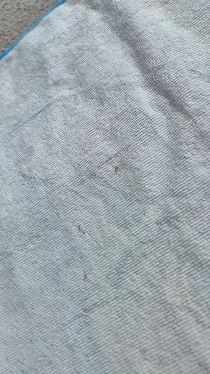 Draps de plage - photo numéro 9