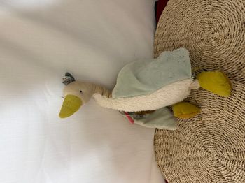 Grande oie Olga Le voyage d'Olga - Moulin Roty