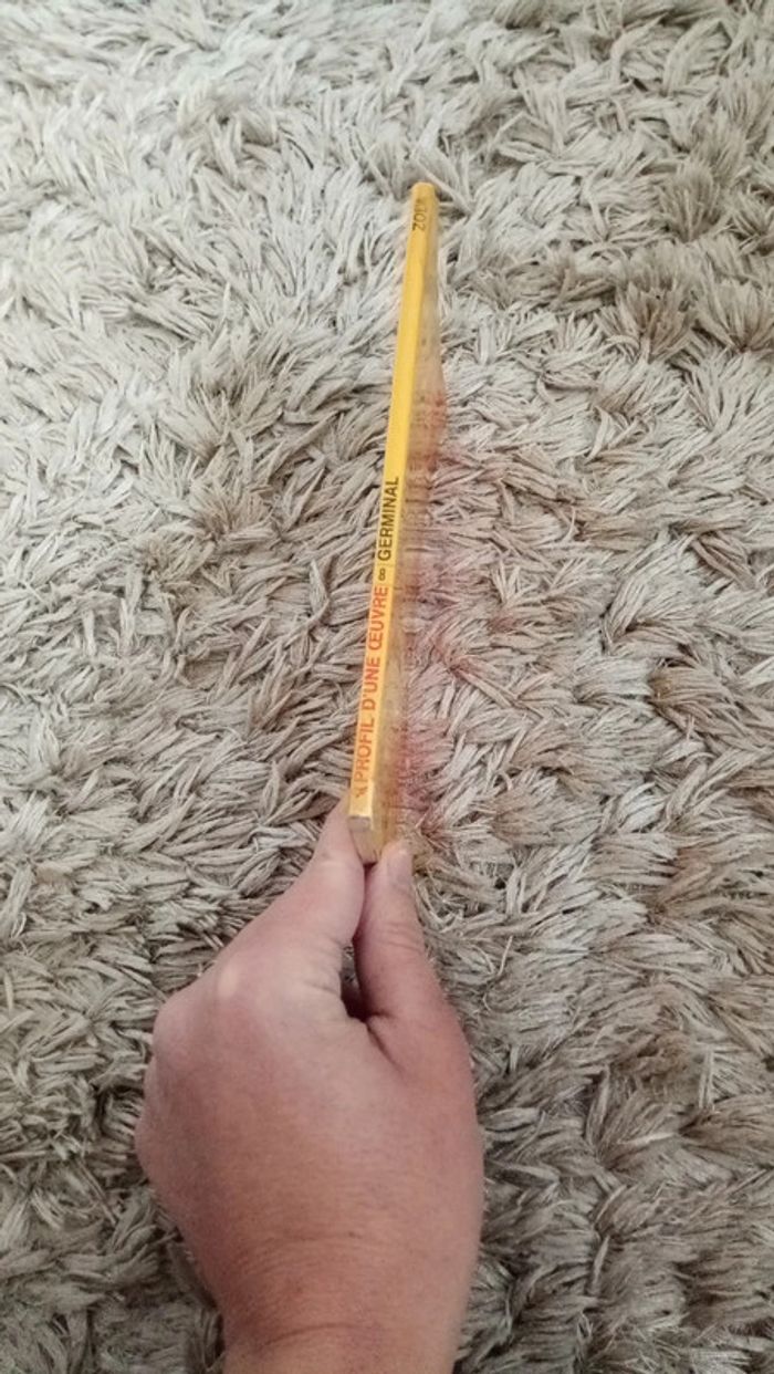 Profil de l'oeuvre - photo numéro 4