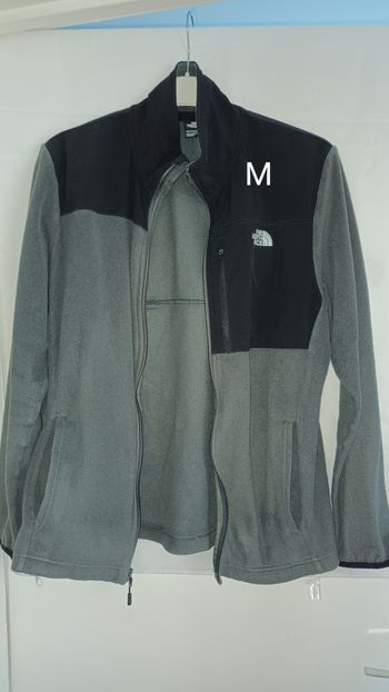 Polaire North Face