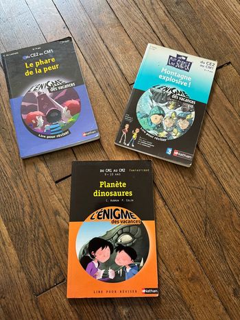 Lot livres  Ce2-cm1-cm2