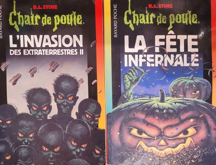 Livres chair de poule - photo numéro 2