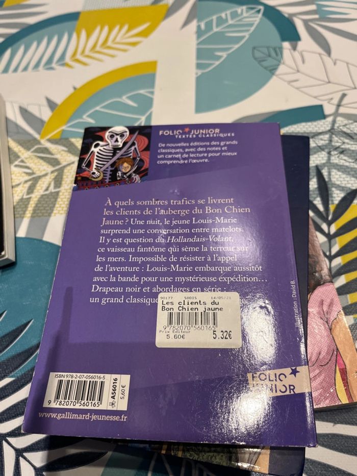 Livre ado et pré ado - photo numéro 14