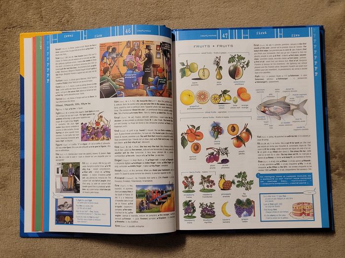 Le Grand Dictionnaire D'anglais 12000 Mots (Sans Onglets) Joëlle, Anne, Kellie Naim, Garcia-Lozano, - photo numéro 4