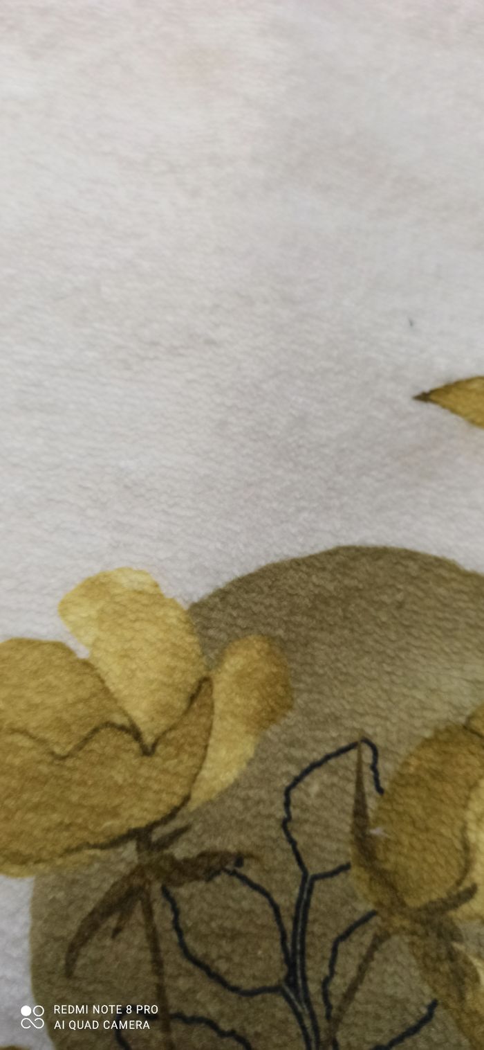 Couverture - photo numéro 3