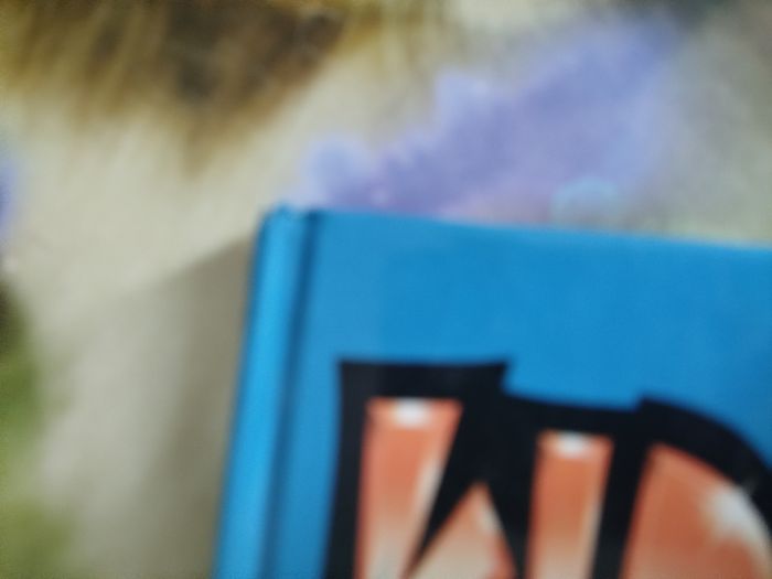 Bd kid paddle - photo numéro 3