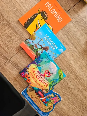 Lot de 4 livres