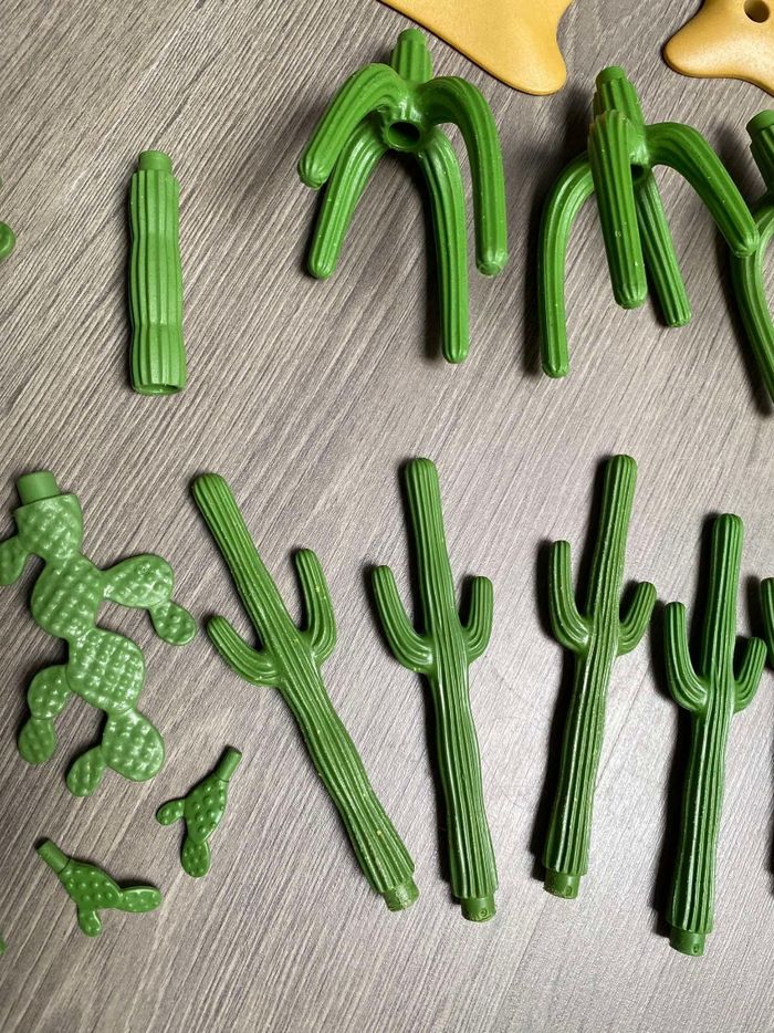 Lot de cactus - photo numéro 3