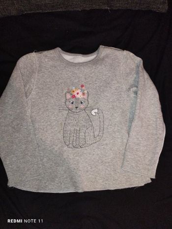 Pull polaire